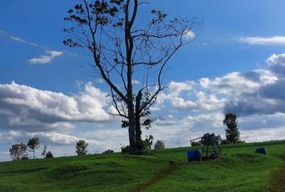 21 ac Land in Tigoni