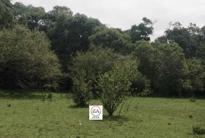 70 ac Commercial Land at Masai Mara