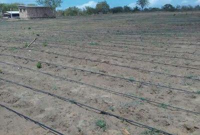 Land in Malindi