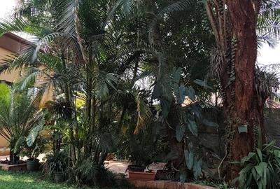 2 Bed House with Garden in Runda - 2