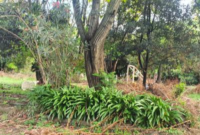 1.2 ac Land at Old Runda - 2