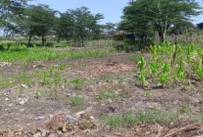 5 ac Land at South B - 3