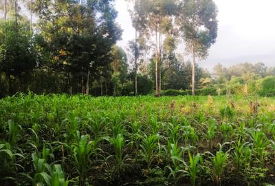 Land at Olkeri