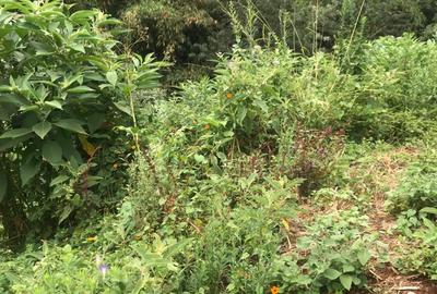 Residential Land in Kiambu Road