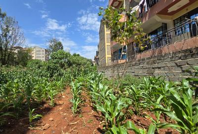 Commercial Land in Ruaka - 2