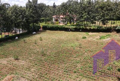 1 ac Land at Karen Road - 2