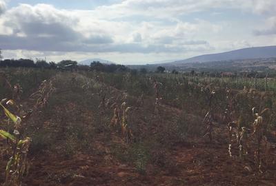 Land at Kyumvi Road