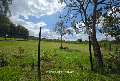0.75 ac Land in Runda - 4