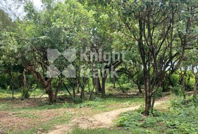 Land in Diani