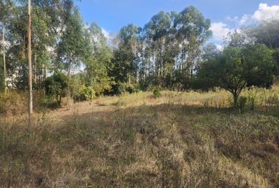 1 ac Commercial Land at Kerarapon - 4