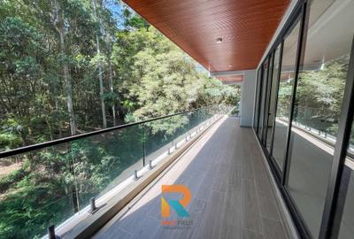 4 Bed Apartment with En Suite in Spring Valley - 3