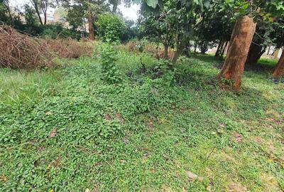 Residential Land at Runda