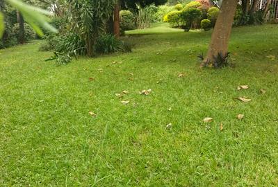 Commercial Land in Riverside - 3