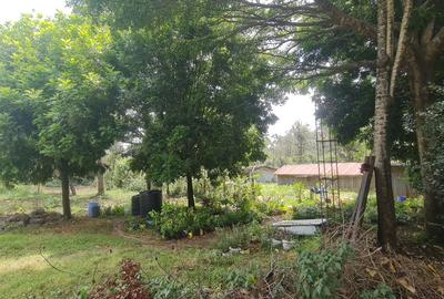 Land in Karen - 4