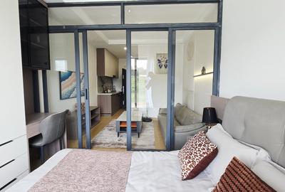 Studio Apartment with En Suite in Thika Road - 3