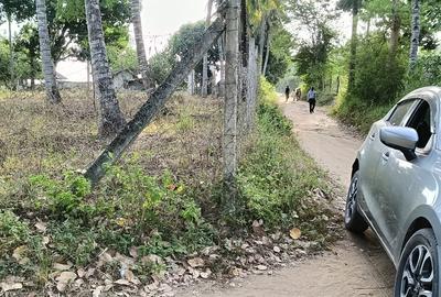 15 ac Land at Bomani - 3
