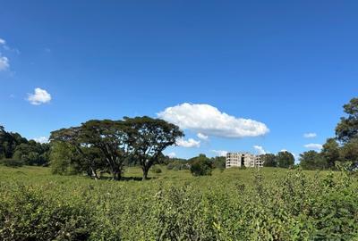 Land at Along Southern Bypass - 3