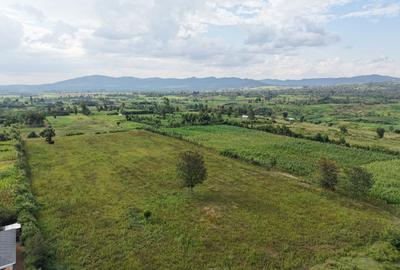 0.125 ac Land at Maiyan - 4