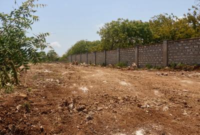 1.4 ac Land at Vipingo Beach - 2