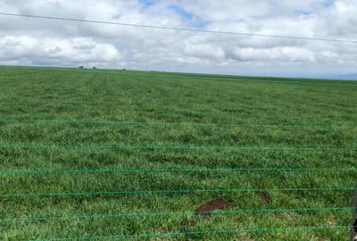 314 ac Land at Timau - 3