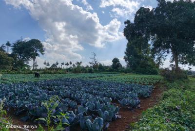 Land at Tigoni - 3