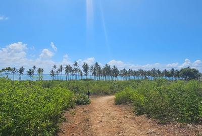 20 ac Land in Kikambala