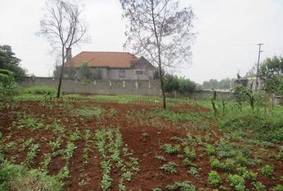 Residential Land at Runda