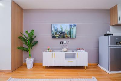 Furnished Bedsitter in Kilimani - 2