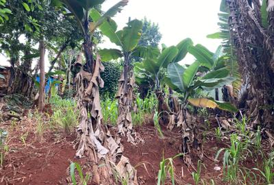 0.5 ac Land in Ruaka