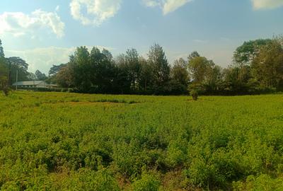 500 m² Residential Land at Thogoto Teachers College Neighborhood - 4