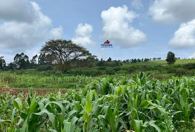 10 ac Land at Tigoni