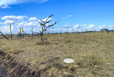 0.48 ac Residential Land at Ruiru East - 4