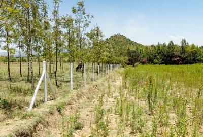 Land at Moi South Lake Road