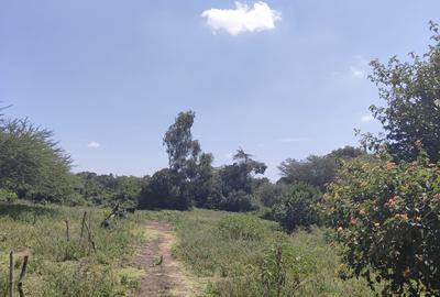 1 ac Land at Ndovu Road