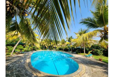 Furnished 3 Bed Apartment with En Suite at Cement Road - 4