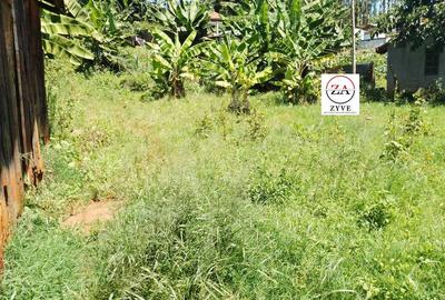 0.125 ac Residential Land at Near Kanunga High School