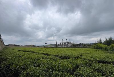 1 ac Land in Tigoni - 2