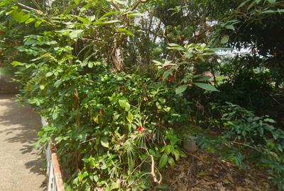 Land in Parklands - 4