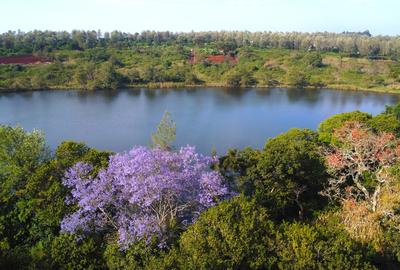 0.125 ac Residential Land in Ruiru - 4
