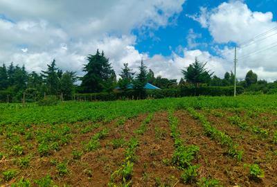 1,000 m² Residential Land in Kamangu