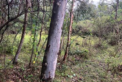 10 ac Commercial Land at Langata South Road - 2