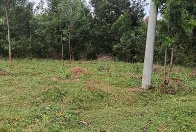 Land in Meru