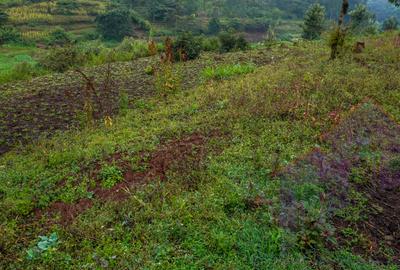 0.25 ha Land at Karinde Road - 3