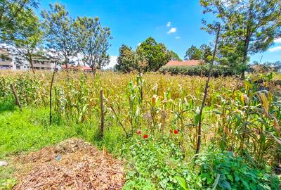 0.25 ac Land in Nakuru