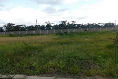 Residential Land in Karen