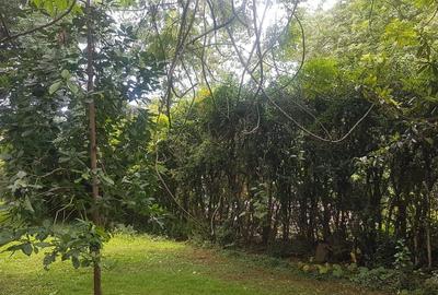 1.32 ac Residential Land in Riara Road - 4