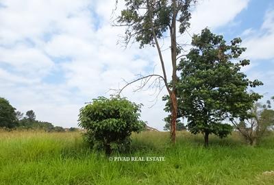 0.25 ac Land in Runda - 2