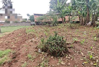 0.5 ac Land in Thome - 4