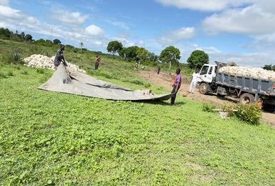 Land in Diani