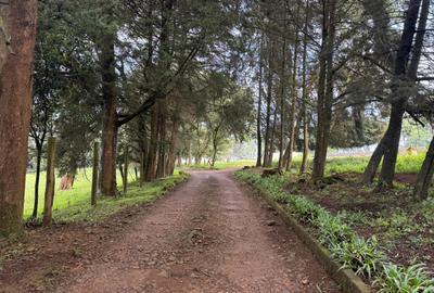 0.125 ac Land in Tigoni
